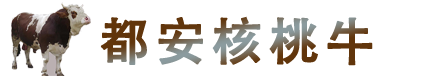 广西双创科技有限公司