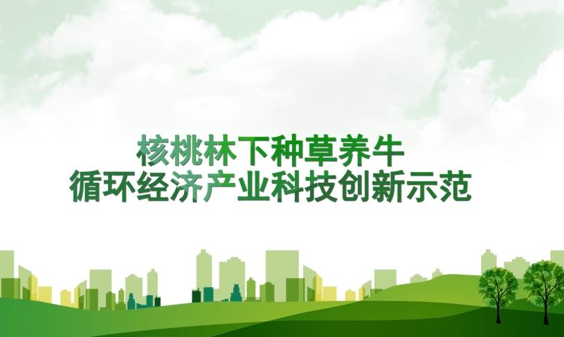 核桃牛循环产业示范